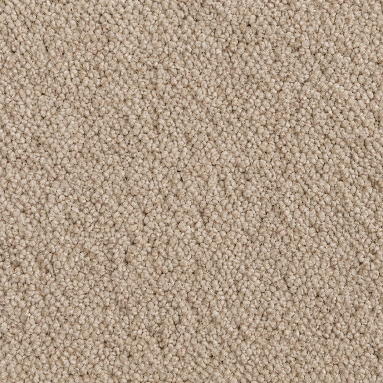 Carpet sample
